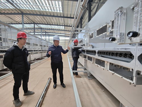 5萬噸高端鋰電負(fù)極材料項(xiàng)目7月投產(chǎn)，建筑裝飾材料產(chǎn)業(yè)如何轉(zhuǎn)型制勝新賽道？